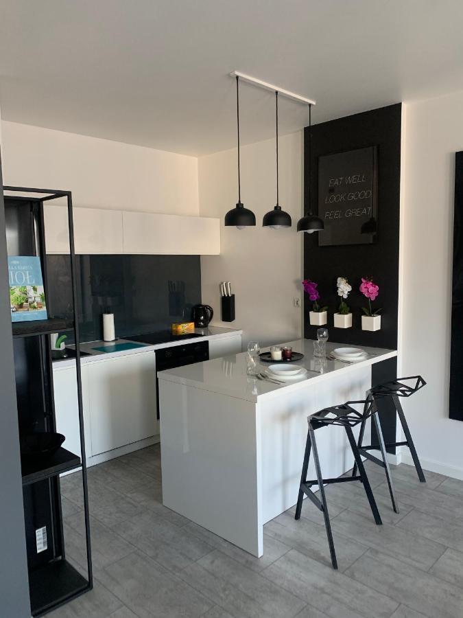 Ekskluzywny Penthouse Z Ogrodem W Centrum Lodzi Eksteriør billede