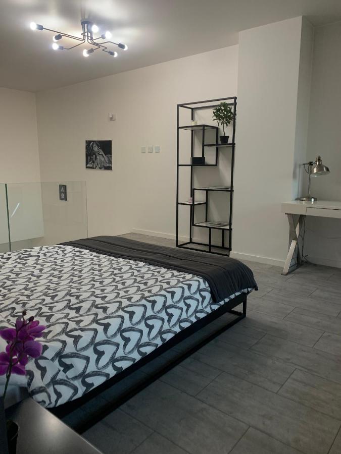 Ekskluzywny Penthouse Z Ogrodem W Centrum Lodzi Eksteriør billede